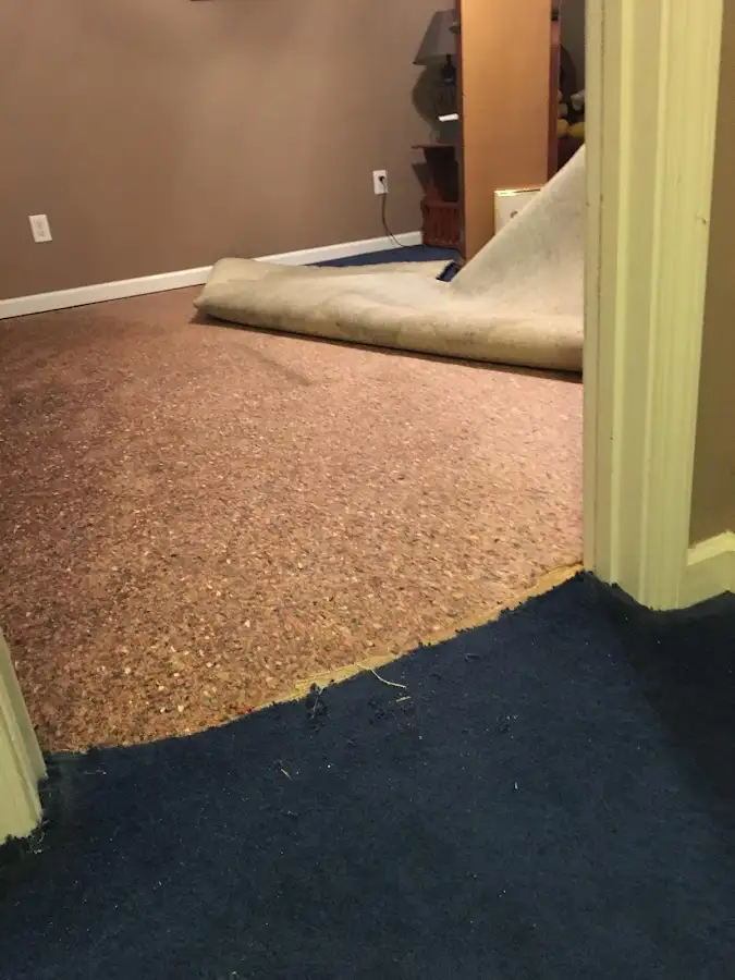 Carpet pad removal revealing water damage during Water Mitigation Services in La Grange Park