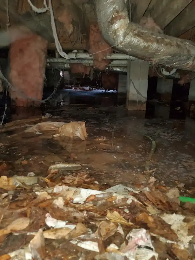 Crawl space flood assessment for Commercial Water Damage Restoration in La Grange Park